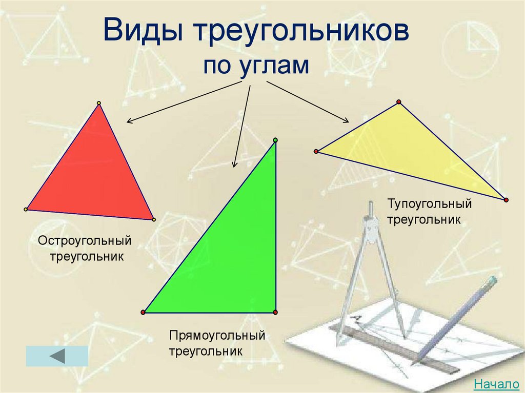 Виды треугольников по углам