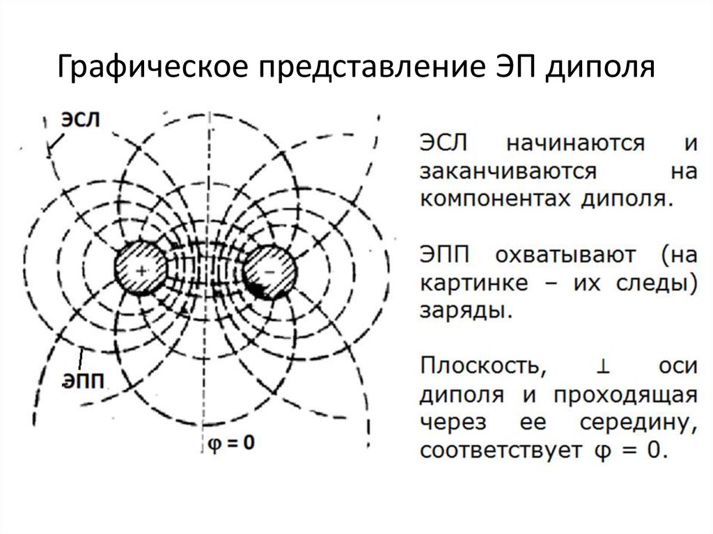 Картина силовых линий диполя