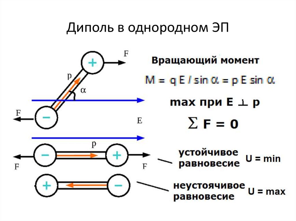 В однородном электрическом поле находится