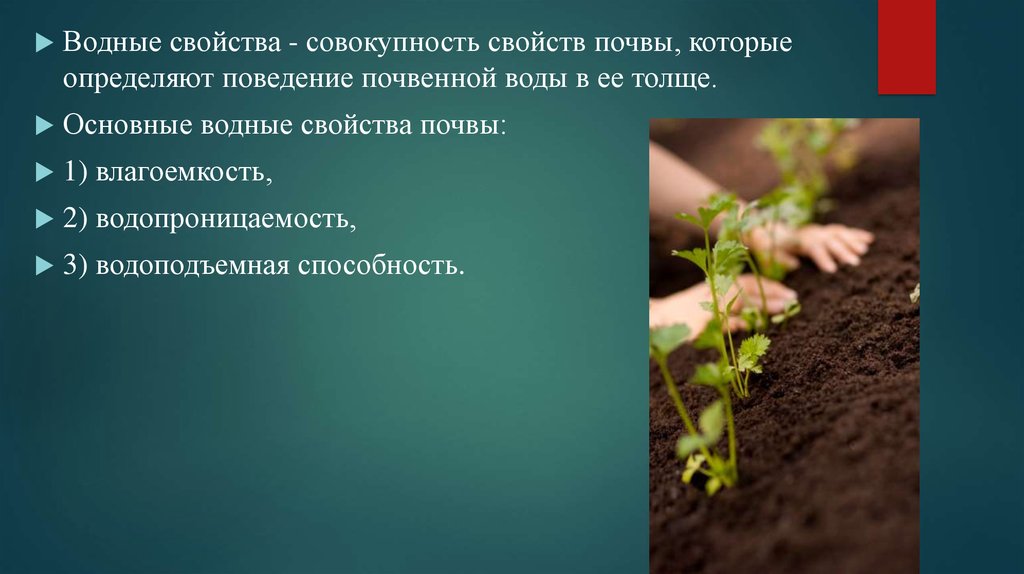 Органические свойства почвы