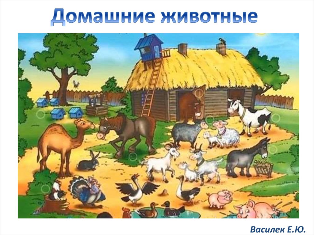Ферма жили были. Домашние животные на ферме. Дикие и домашние животные. Ферма животных для детей. Домашние животные для детей.