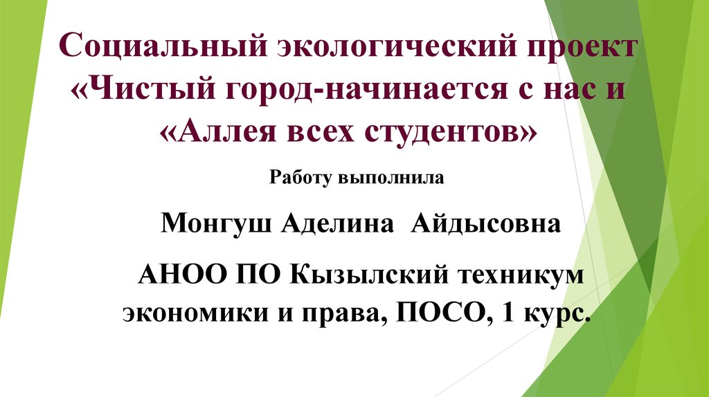 Социальный экологический проект "Чистый город-начинается с нас и "Аллея всех сту