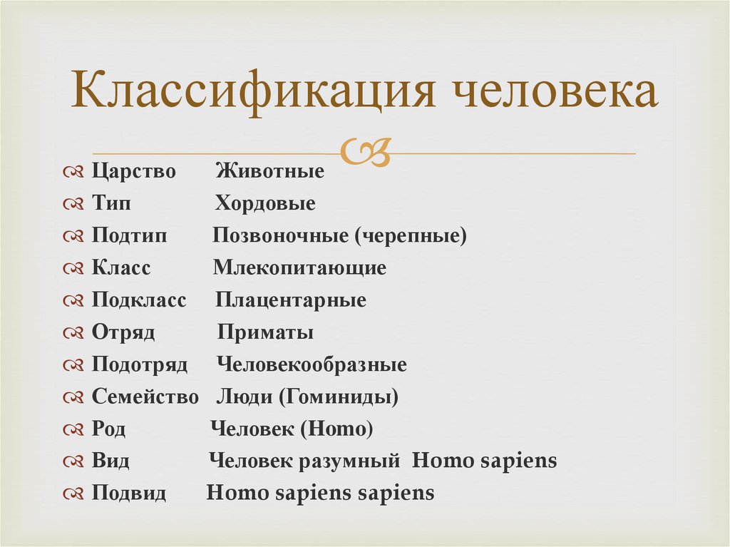 Систематика человека место человека в системе животного мира презентация