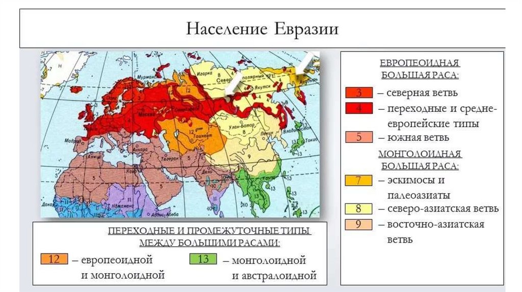 Карта населения евразии