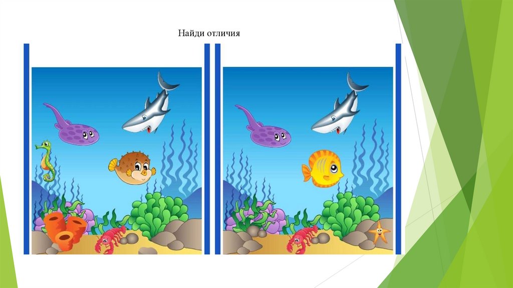 Найди отличия