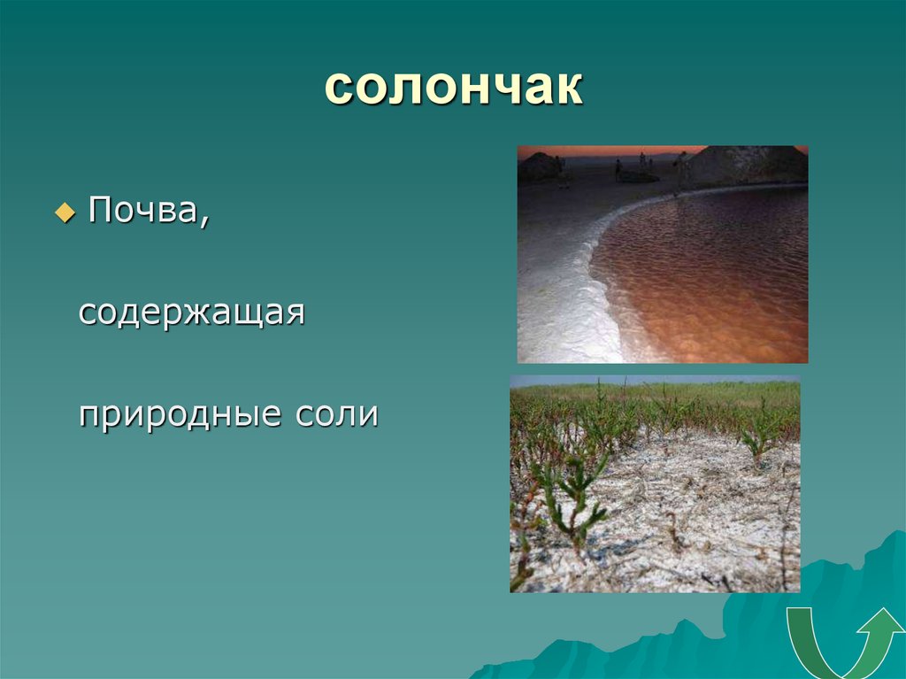 Природно содержащиеся. Солончаки почвы. Солончаки почвы характеристика. Солончаки это в географии. Грунты мокрых солончаков.