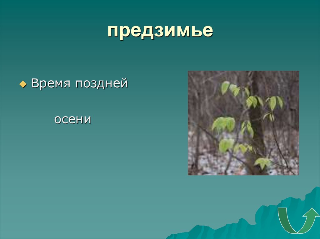 Осень родственные слова. Осенний родственное слово. Родственное слово осен. Предзимье признаки.