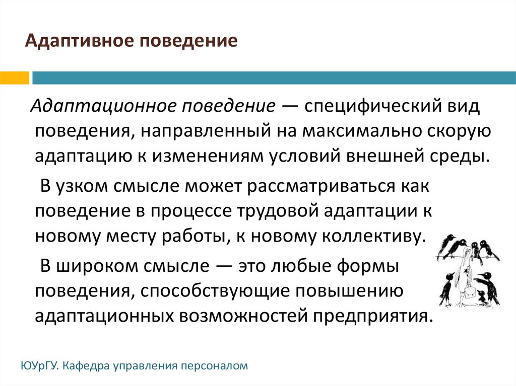 Адаптивное развитие. Адаптивное поведение. Адаптивные формы поведения. Особенности адаптивных форм поведения. Адаптивные формы поведения дошкольника.