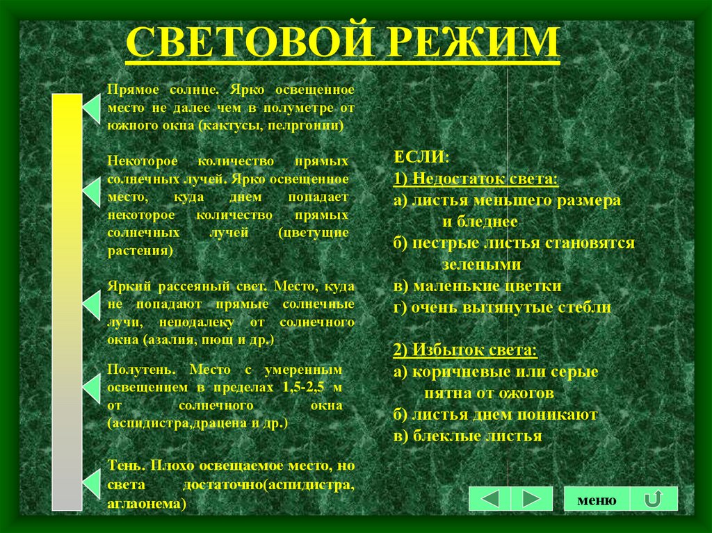 Световой режим виды