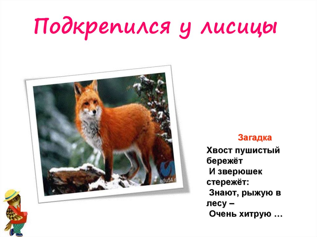 Началова загадки лисы читать. Загадка про лису. Загадка про лису для детей. Загадки о лисах. Загадки про животных лиса.