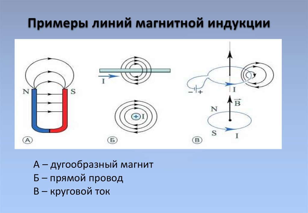 Как определить магнитную индукцию. Линии магнитной индукции в магните. Направление магнитной индукции линий магнитной индукции. Магнитные линии и вектор магнитной индукции. Как построить линии магнитной индукции.