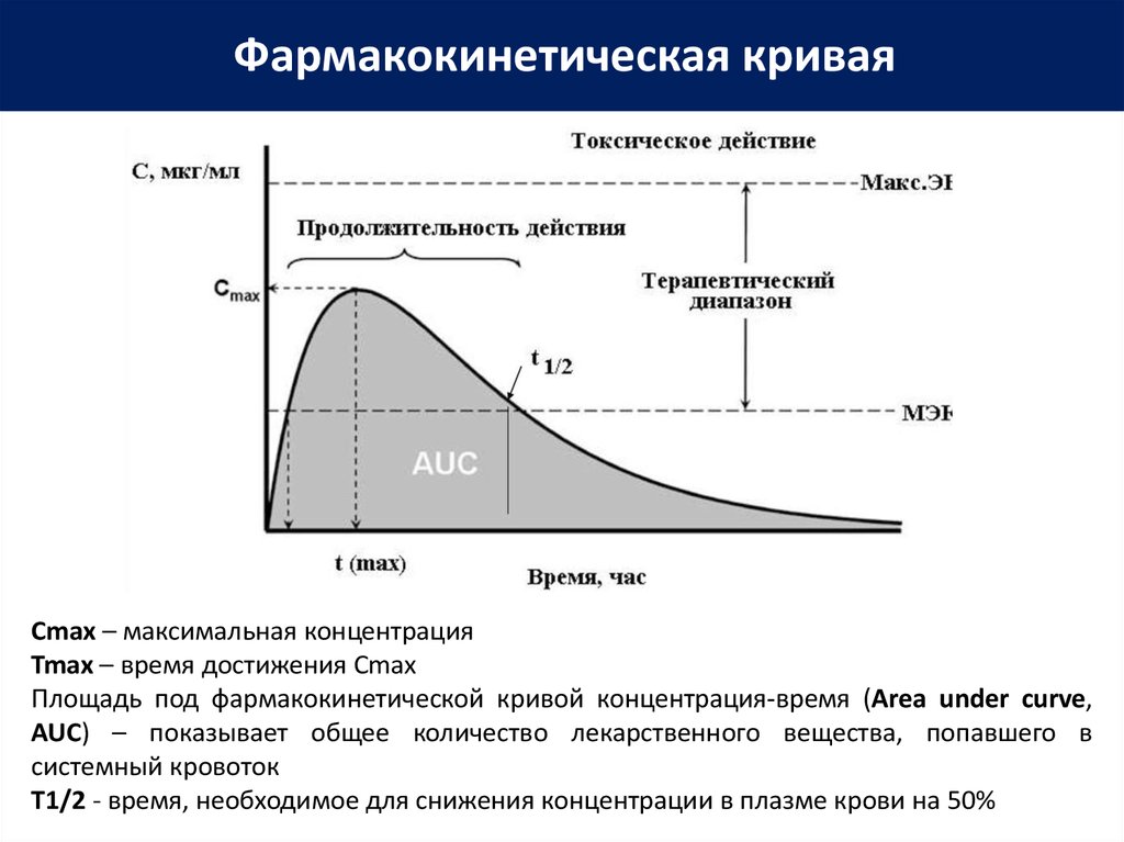 Кривая времени