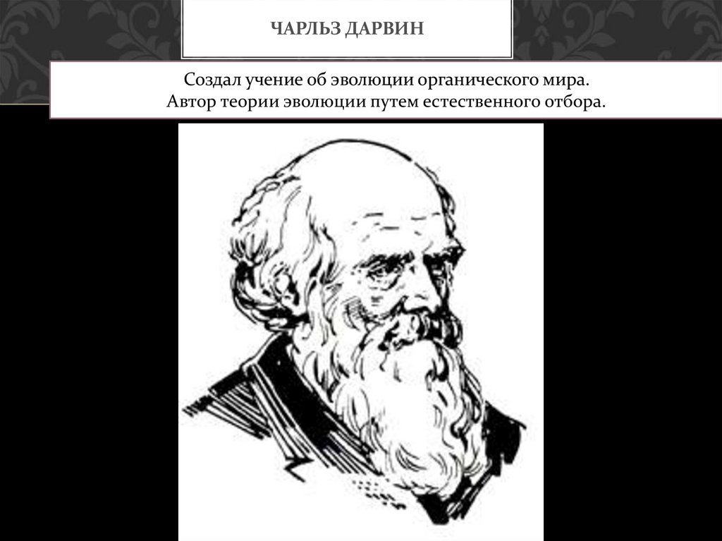 Учение об эволюции. Чарльз Дарвин учение об Эвол. Учение Дарвина об эволюции органического мира. Презентация Чарльз Дарвин об эволюции органического мира. Чарлз Дарвин об эволюции органического мира.