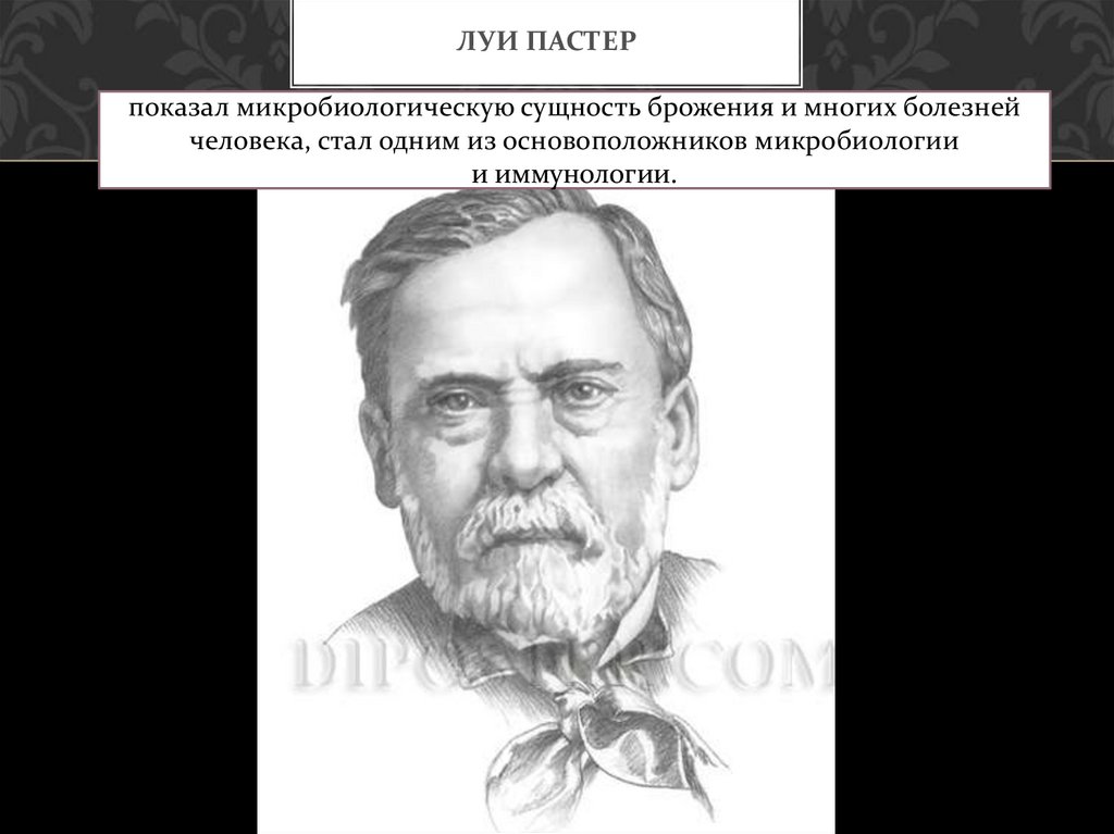 Ученые биология 8 класс. Луи Пастер основоположник научной микробиологии и иммунологии. Стал одним из основоположников микробиологии. Сущность микробиологии. Луи Пастер качества человека.