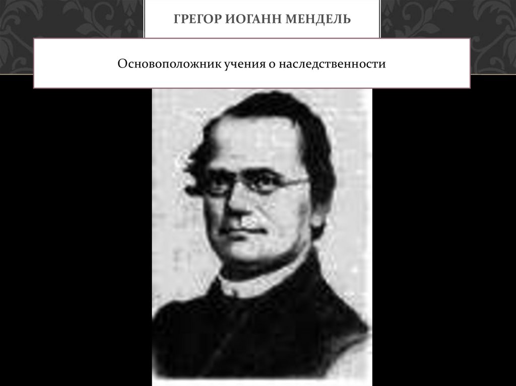 Кто был основоположником учения о. Грегор Иоганн Мендель. Мендель ученый. Грегор Мендель портрет. Мендель биолог.