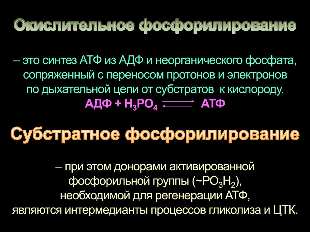Окислительное фосфорилирование – это синтез АТФ из АДФ и неорганического фосфата, сопряженный с переносом протонов и электронов