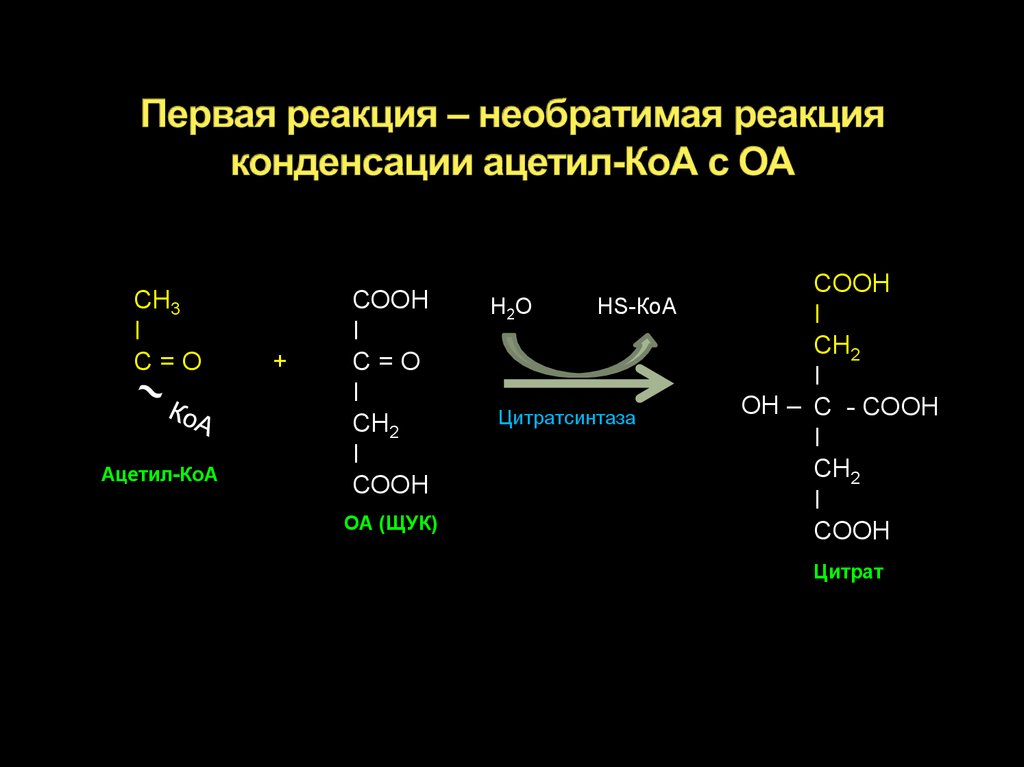 Первая реакция – необратимая реакция конденсации ацетил-КоА с ОА