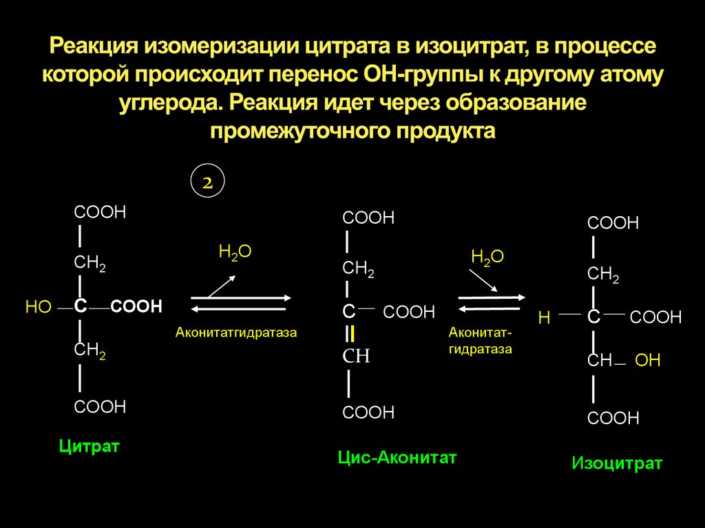 Схема цпэ для изоцитрата