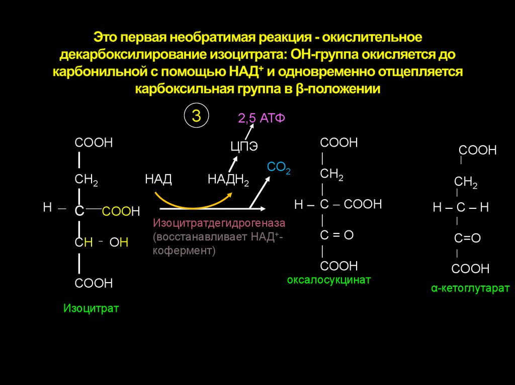Это первая необратимая реакция - окислительное декарбоксилирование изоцитрата: ОН-группа окисляется до карбонильной с помощью
