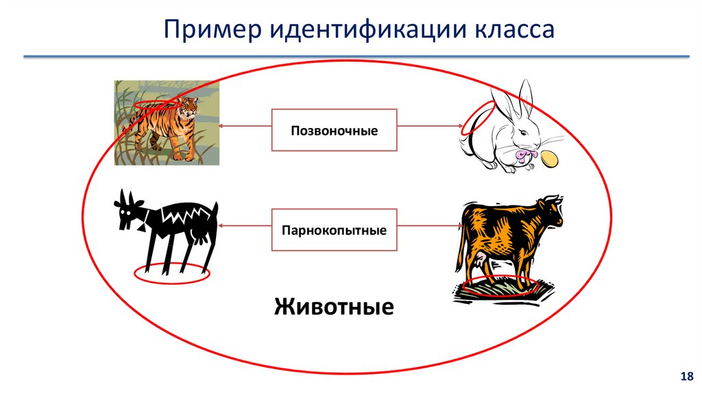 Идентификации классов