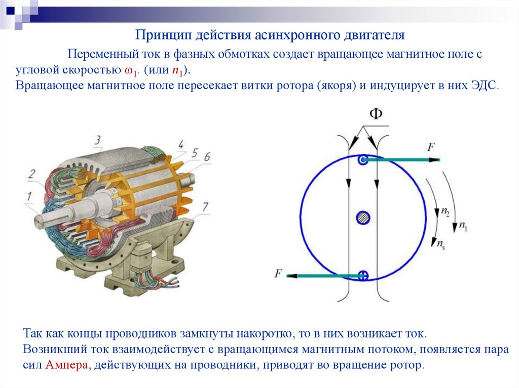 Асинхронное вращение магнитного поля. Схема действия асинхронного двигателя. Принцип работы трехфазного асинхронного электродвигателя. Принцип действия трёхфазного асинхронного электродвигателя. Принцип действия асинхронного двигателя схема.