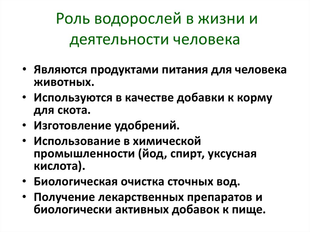 Роль водорослей в экосистеме. Роль водорослей. Роль водорослей в жизни человека. Роль водорослей в жизни и деятельности человека. Ламинария роль в жизни человека.