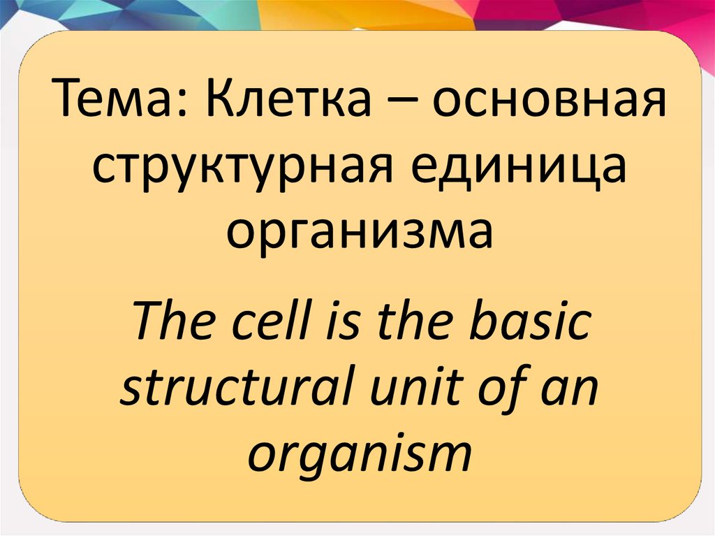 Основная структурная единица организма