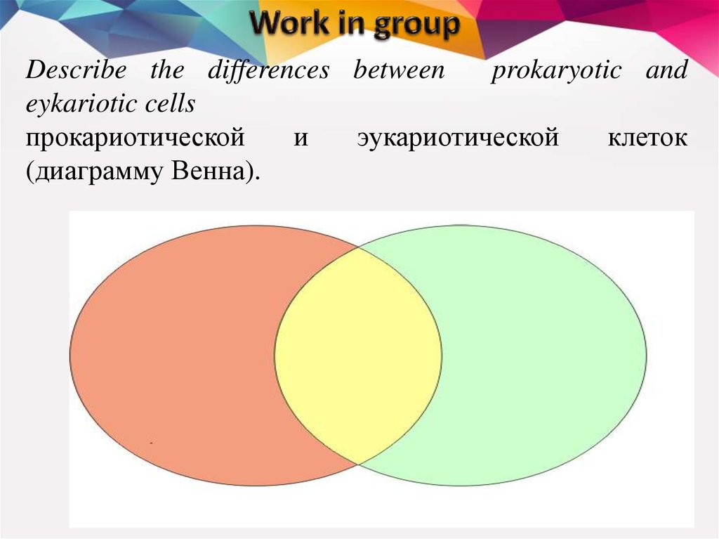 Диаграммы венна 10 класс