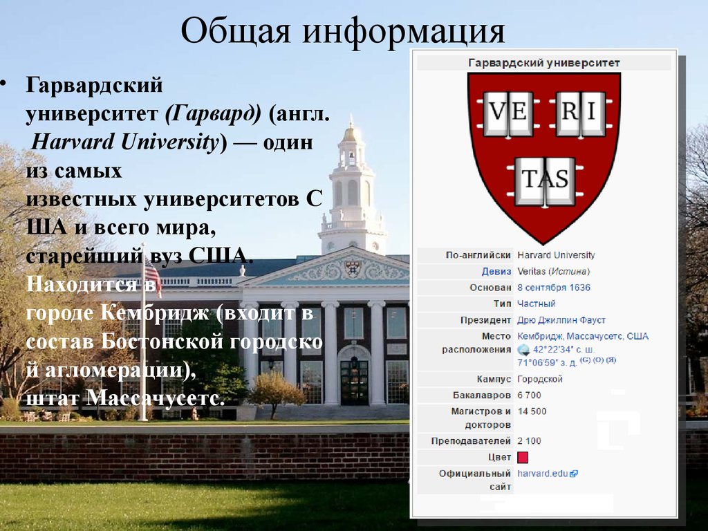 Сколько обучение в гарварде. Гарвардский университет (англ. Harvard University). Гарвардский университет США факультеты. Гарвард университет медицинский Факультет. Harvard University факультеты.