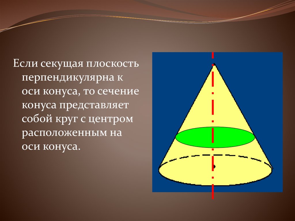 Сечение конуса плоскостью. Секущая плоскость конуса. Перпендикулярное сечение конуса. Симметрия конуса.