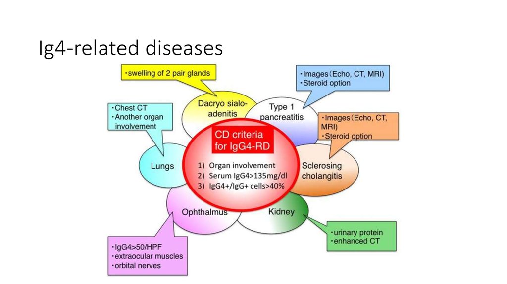 Ig4-related diseases