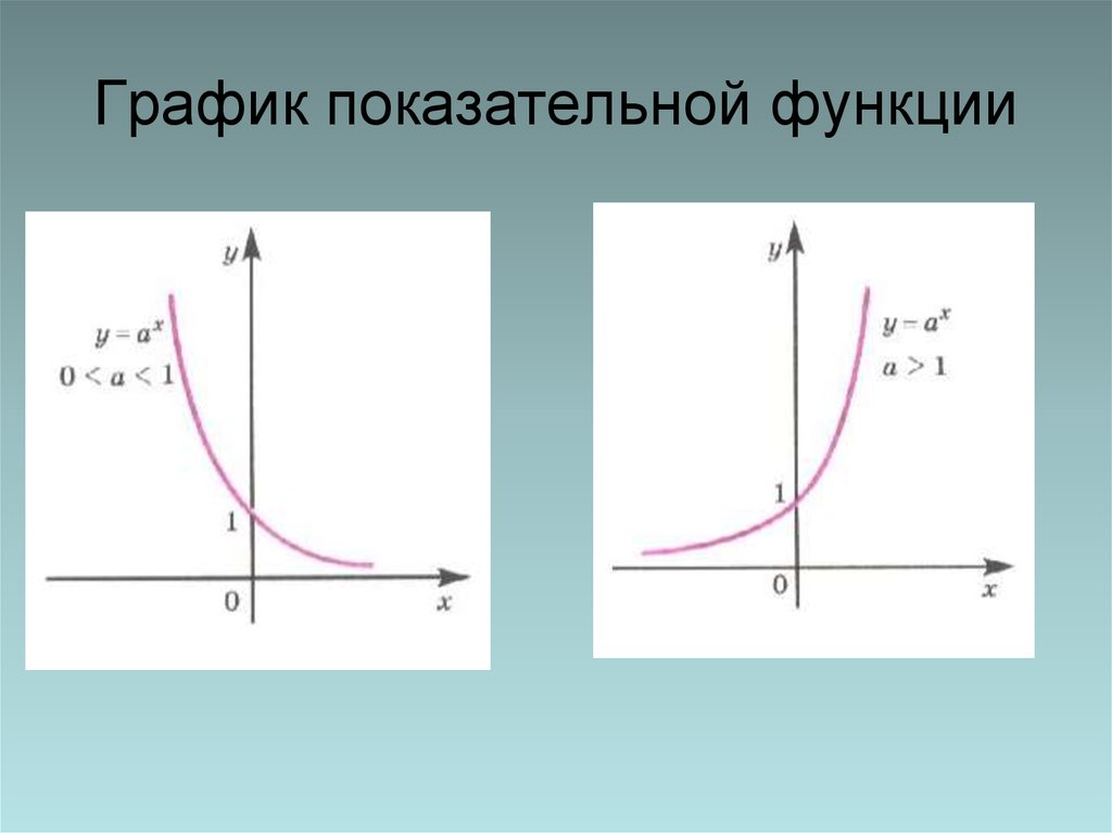 5 показательная функция. График показательной функции экспонента. Показательная функция экспонента. Графики степенной и показательной функции. Функции показательной функции.