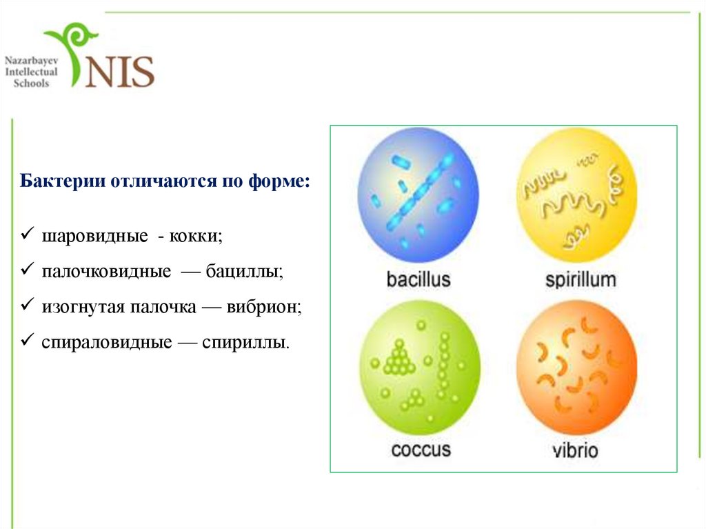 The planet crafter образец бактерий