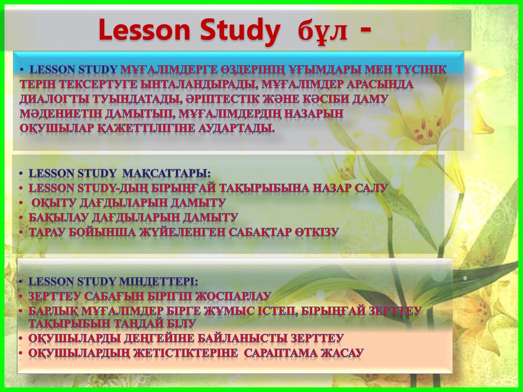 Lesson study презентация