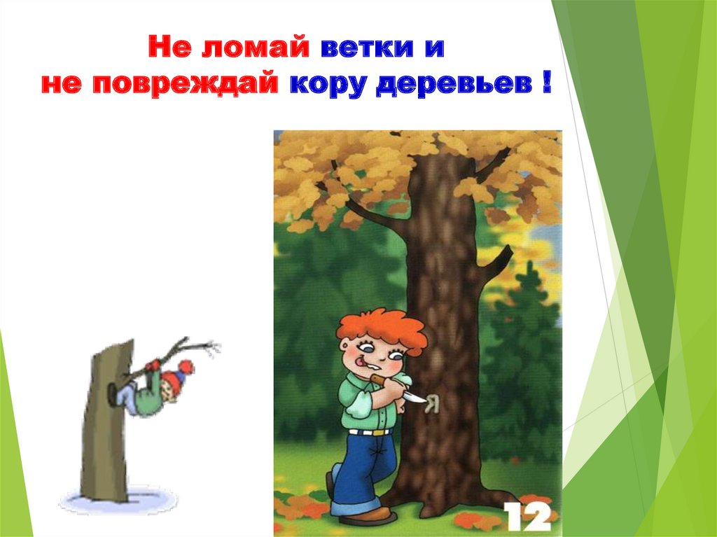 Не ломай деревья картинки для детей