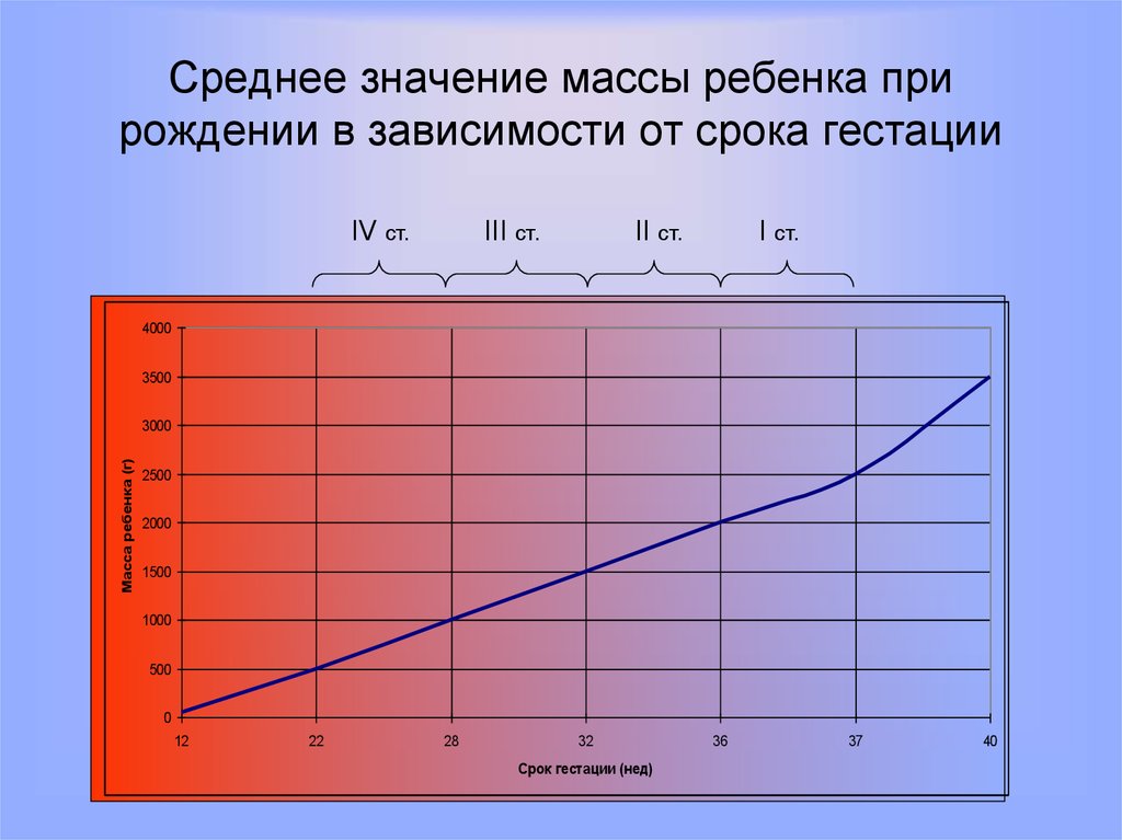 Средняя масса легких