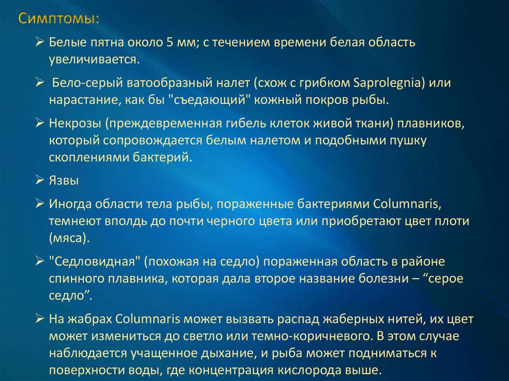 Признаки бел. Симптом белого пятна при шоке. Положительный симптом белого пятна.