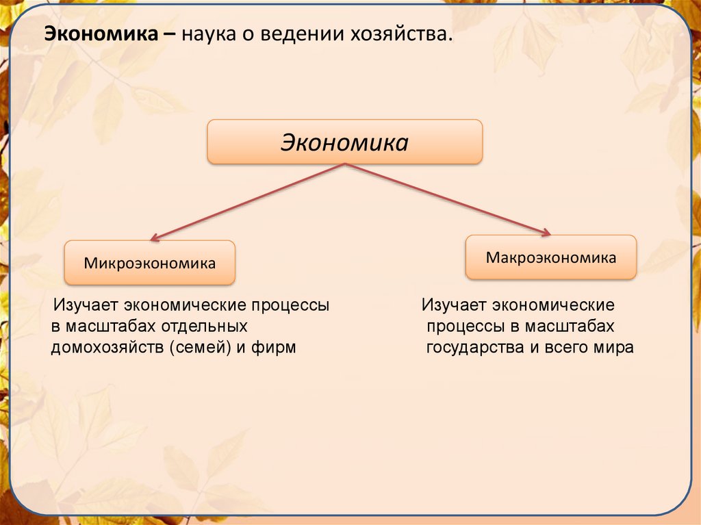 Экономика и ее основные участники