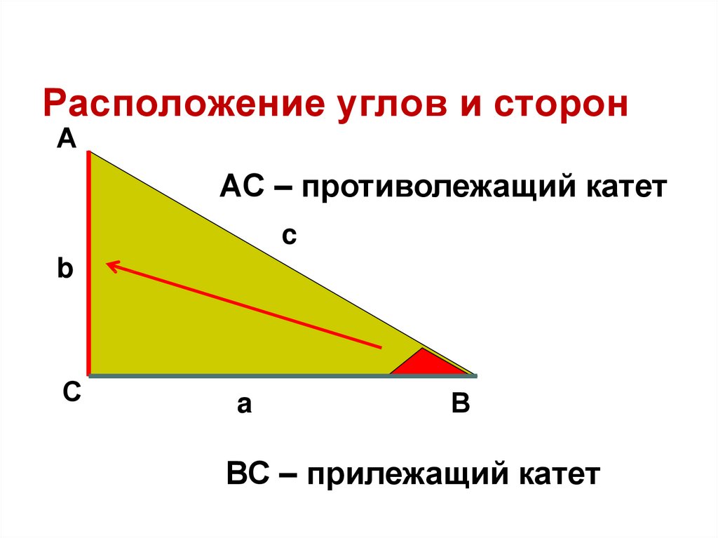 Угол прилежит к стороне треугольника. Прилежащий и противолежащий катет. Катет противолежащий углу. Прилежащий катет и противолежащий катет. Косинус прилежащий катет.