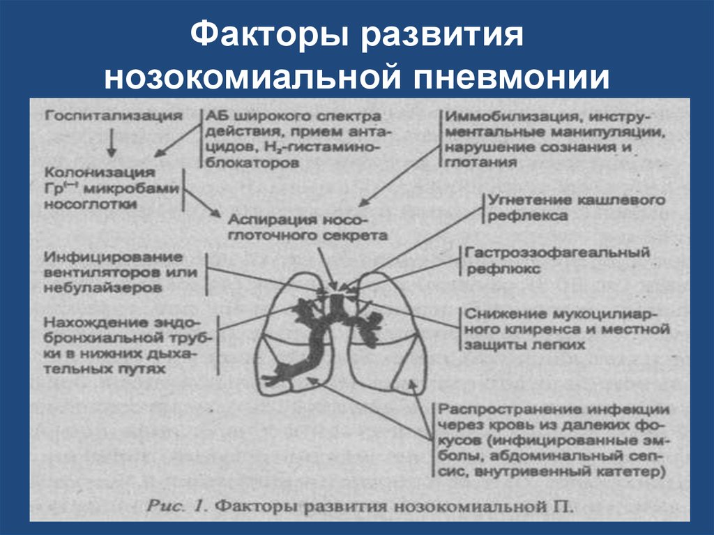 Факторы дыхания. Факторы развития пневмонии. Факторы риска нозокомиальной пневмонии. Основы частной патологии органов дыхания пропедевтика. Факторы риска развития нозокомиальной пневмонии.