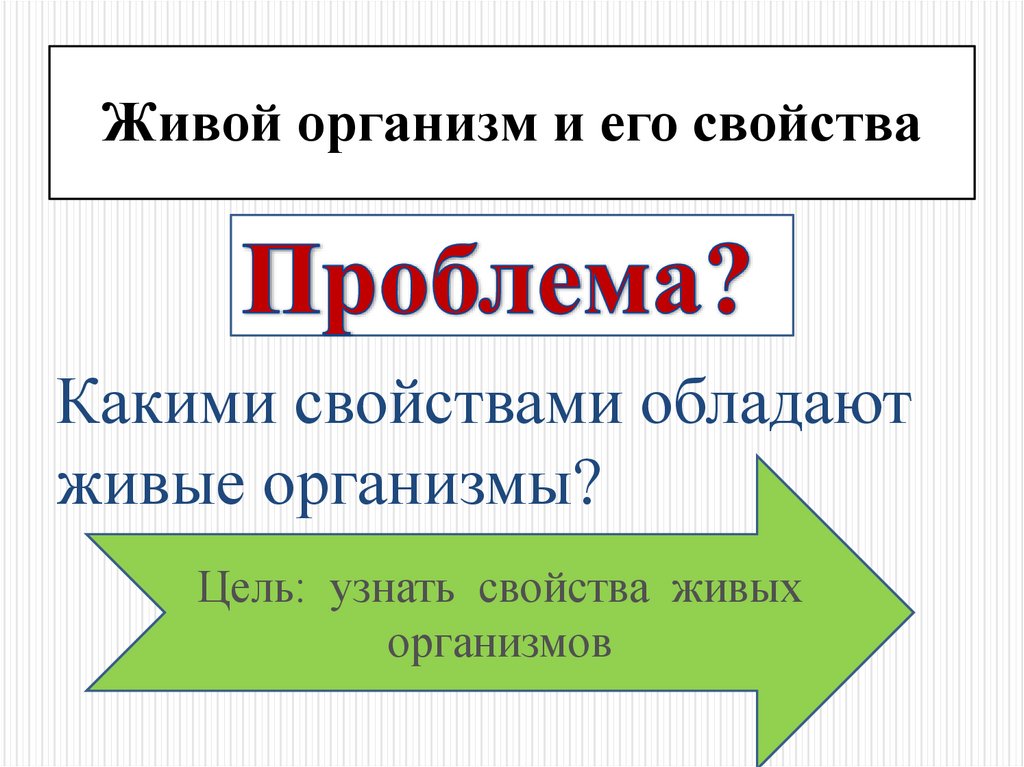 Найти свойства. Какими свойствами обладают живые организмы. Живой организм и его свойства. Свойства обладают живые. 1 Какими свойствами обладают живые организмы?.