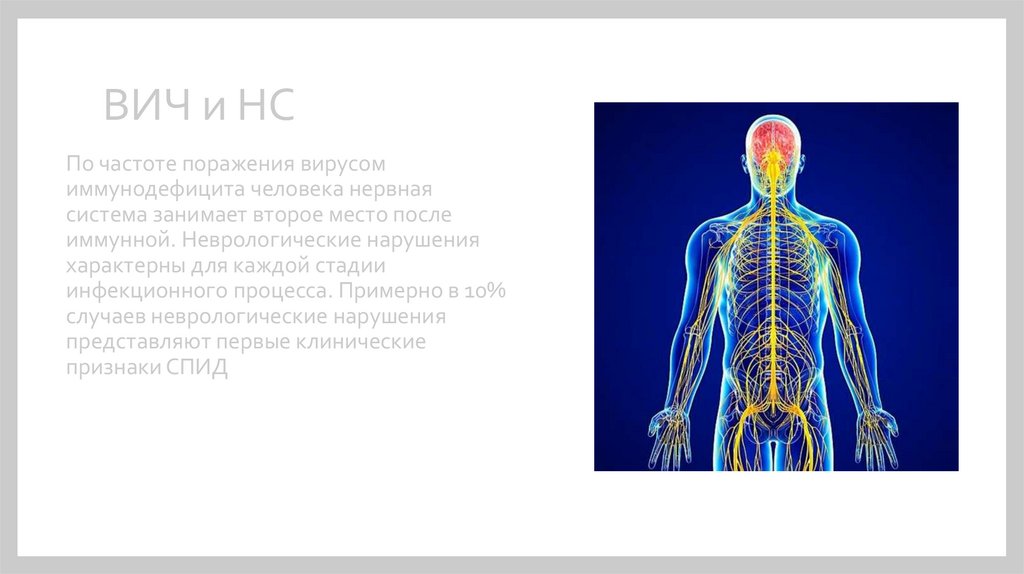 Нейроспид неврология презентация