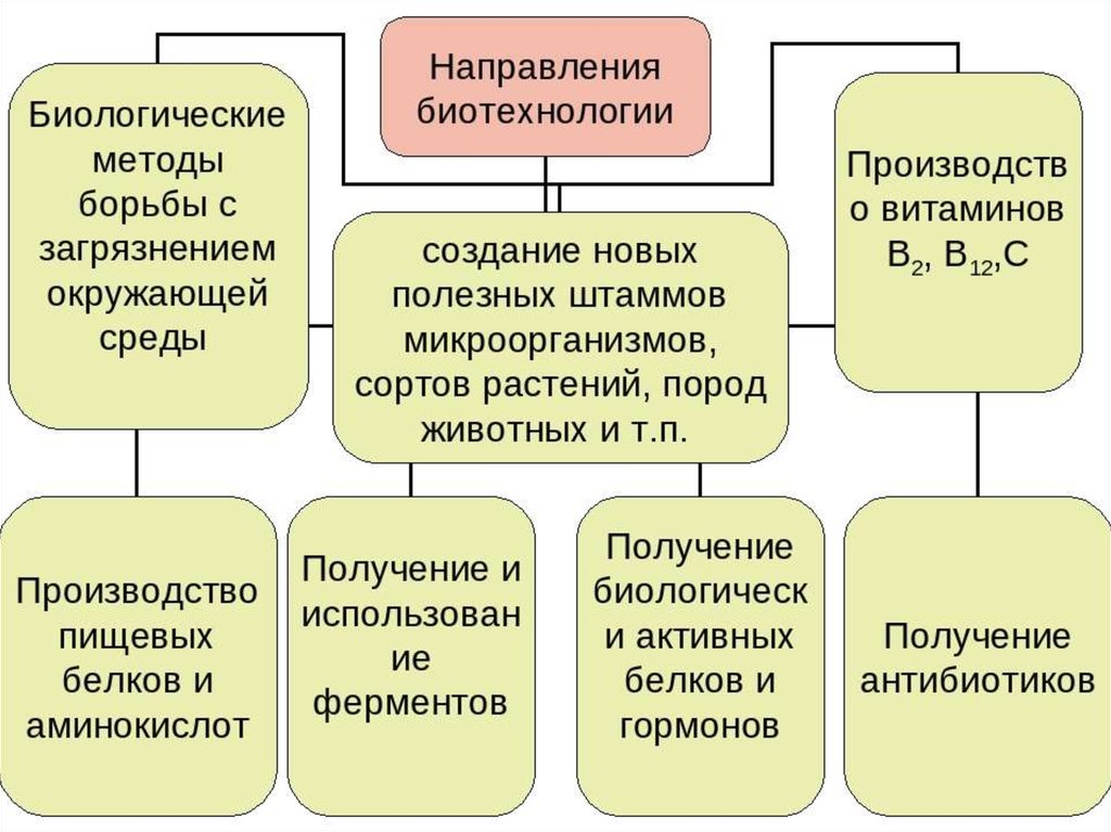 Основные методы биотехнологии презентация