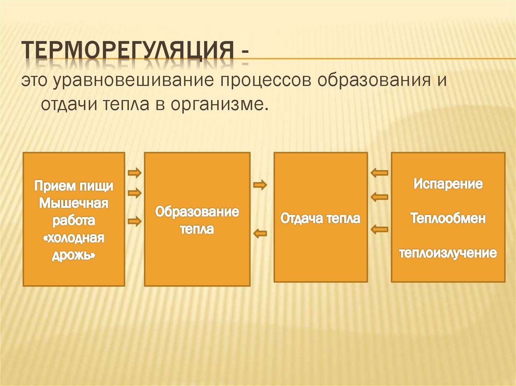 Презентация терморегуляция организма закаливание биология 8 класс