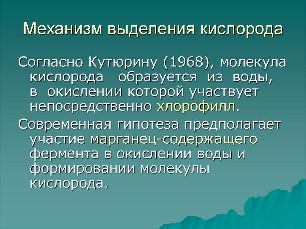 Кислород выделяется в