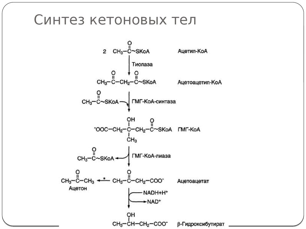 Синтез орг. Синтез кетоновых тел биохимия. Схема синтеза кетоновых тел в биохимии. Синтез и распад кетоновых тел биохимия. Синтез кетоновых тел гормон активатор.