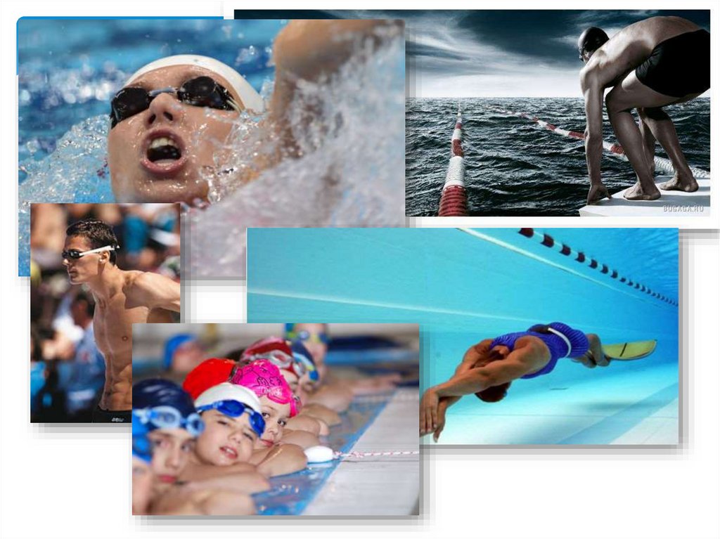 Плавание и мышцы тела. Организм человека плавание. Плавание для здоровья. Влияние плавания на организм. Влияние занятий плаванием на организм..