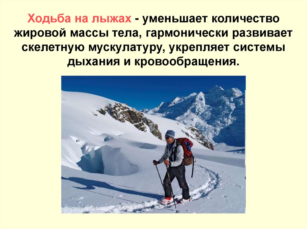 Ходьба на лыжах - уменьшает количество жировой массы тела, гармонически развивает скелетную мускулатуру, укрепляет системы