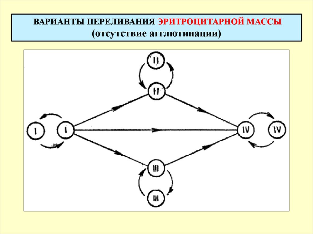 На рисунке схематично изображен эритроцитарный