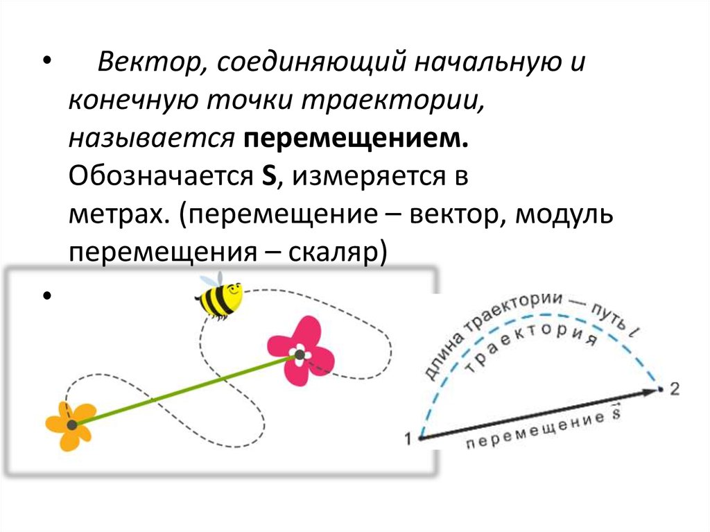 Виды движения камеры